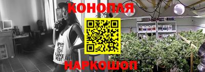 PSILOCYBIN Заволжье