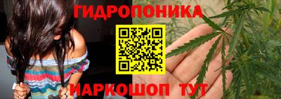 PSILOCYBIN Заволжье