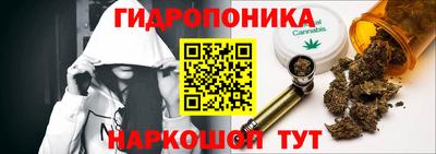 PSILOCYBIN Заволжье