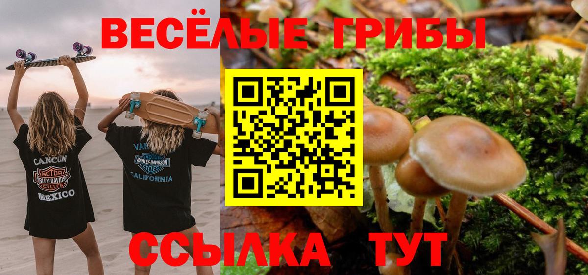 Галлюциногенные грибы прущие грибы  Галлюциногенные грибы MAGIC MUSHROOMS  Вход с VPN  Магадан 
